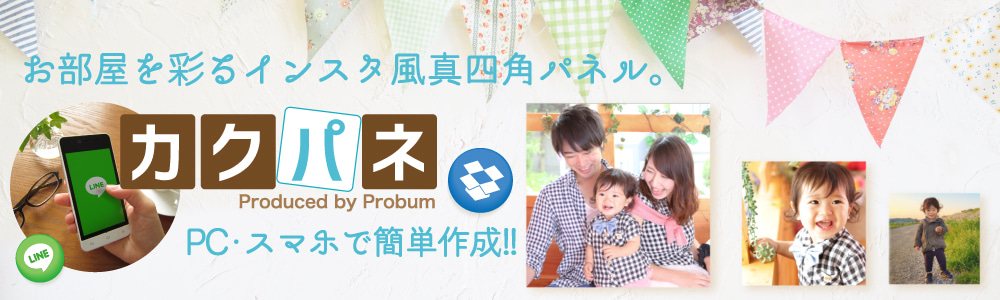カクパネのバナー